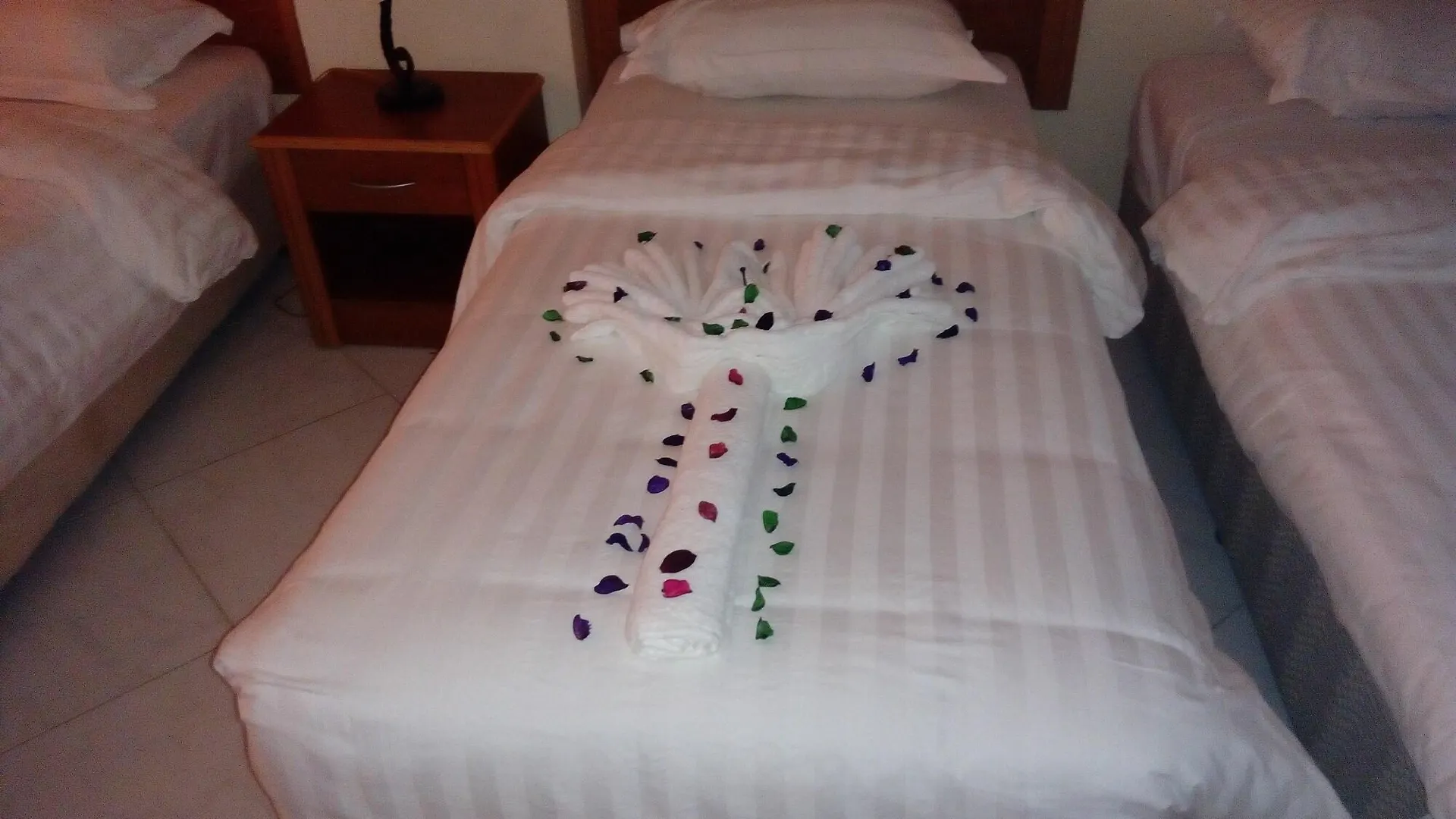 Classic Aqaba Hotel 3*,  요르단