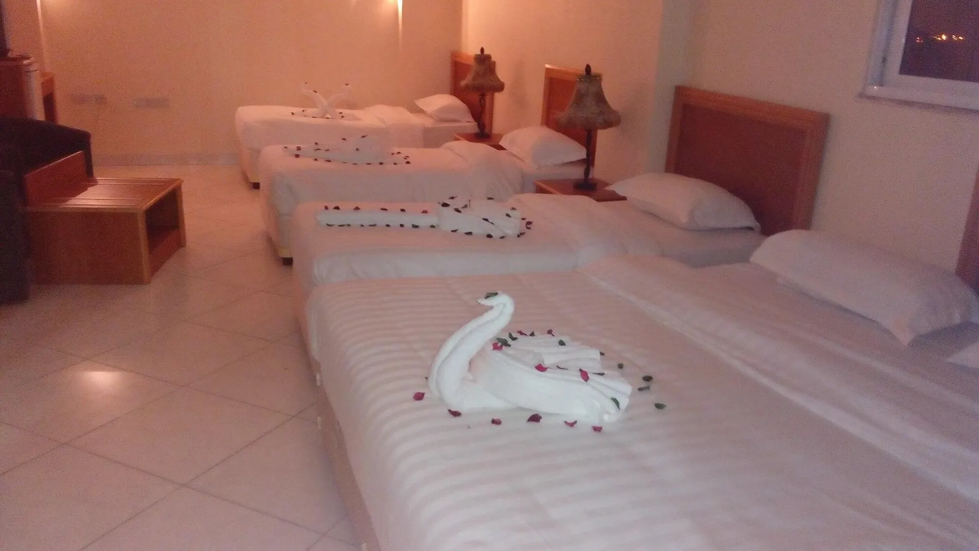***  Classic Aqaba Hotel Jordan